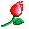 Blosssom.gif