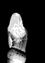 sXy2.gif